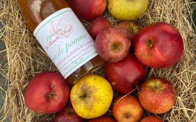 Nos pommes se transforment en jus !